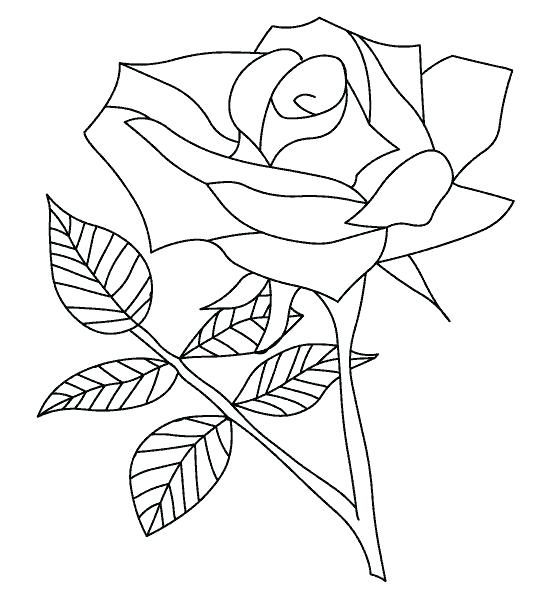 550x600 Printable Rose Coloring Pages Rose Coloring Sheets 9 Printable