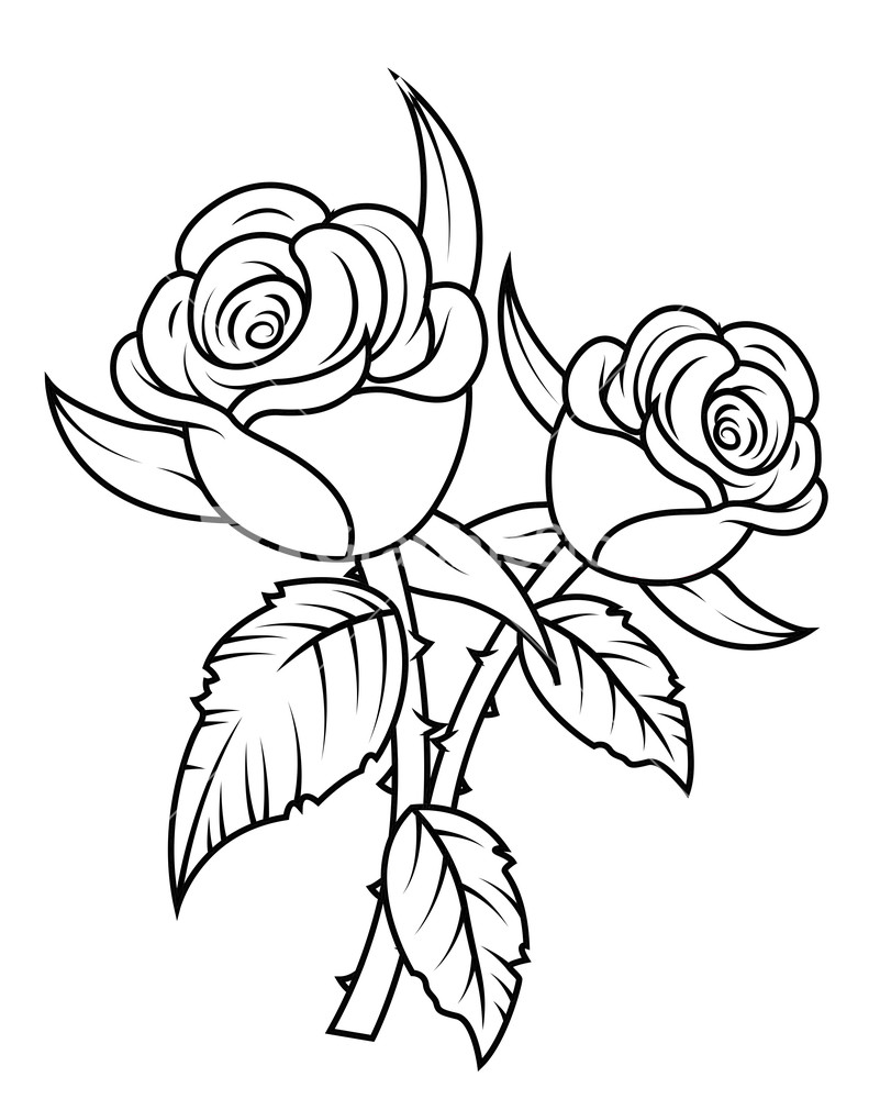 801x1000 Flower Vase Coloring Pages Tiny Flower Vase Coloring Pages