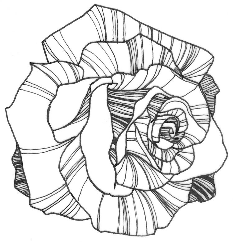 750x780 Rose Coloring Books Coloring Rose Coloring Pages Easy Also Rose