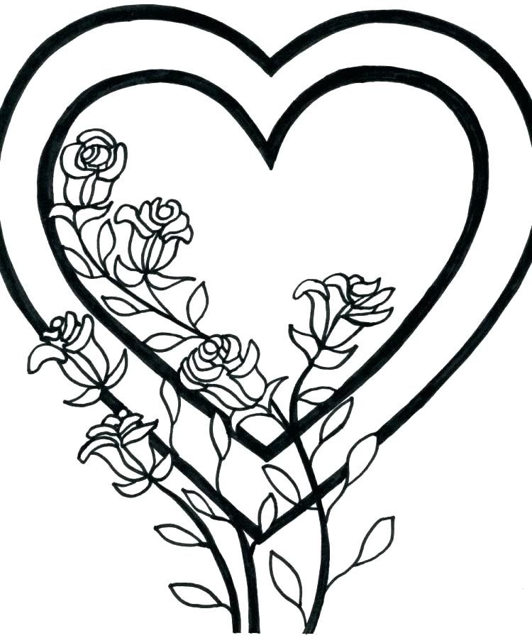 750x899 Rose Coloring Book