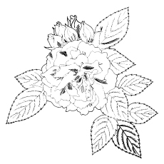 230x230 Top 25 Free Printable Beautiful Rose Coloring Pages For Kids