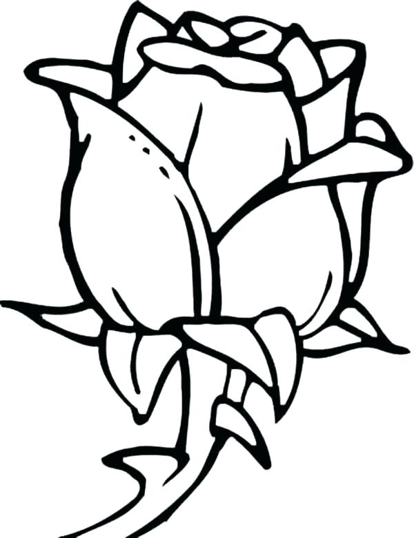600x780 Coloring Pages Rose Printable Rose Coloring Pages Free Printable