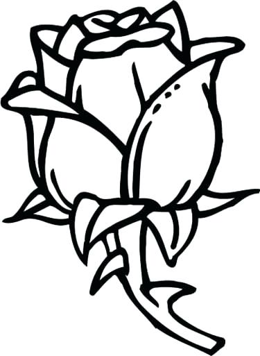 375x513 Rose Coloring Pages Rose Rose Coloring Page Rose Coloring Page