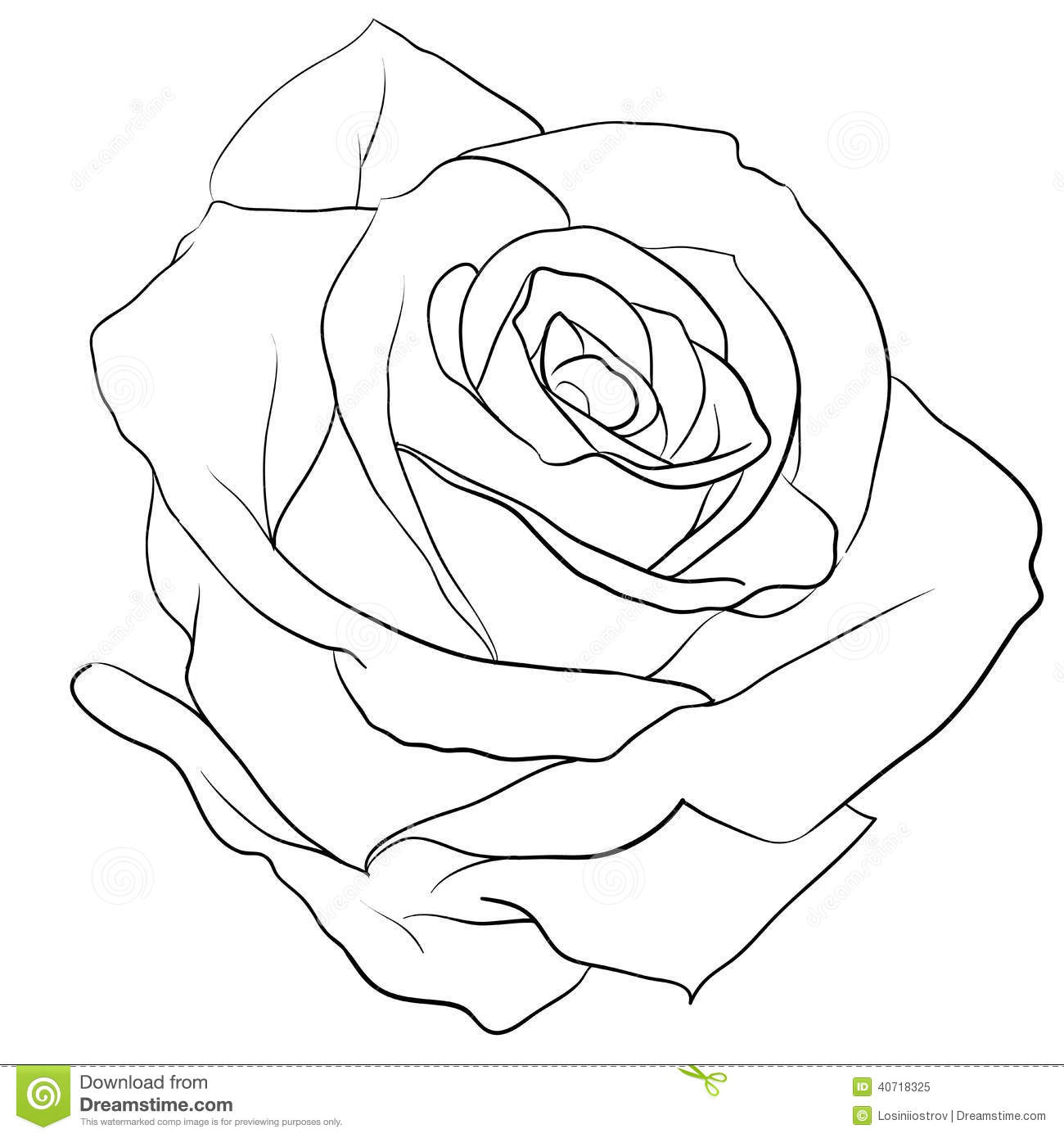 1300x1390 Rosebud Rose Black White Like Tattoo 40718325 With Realistic