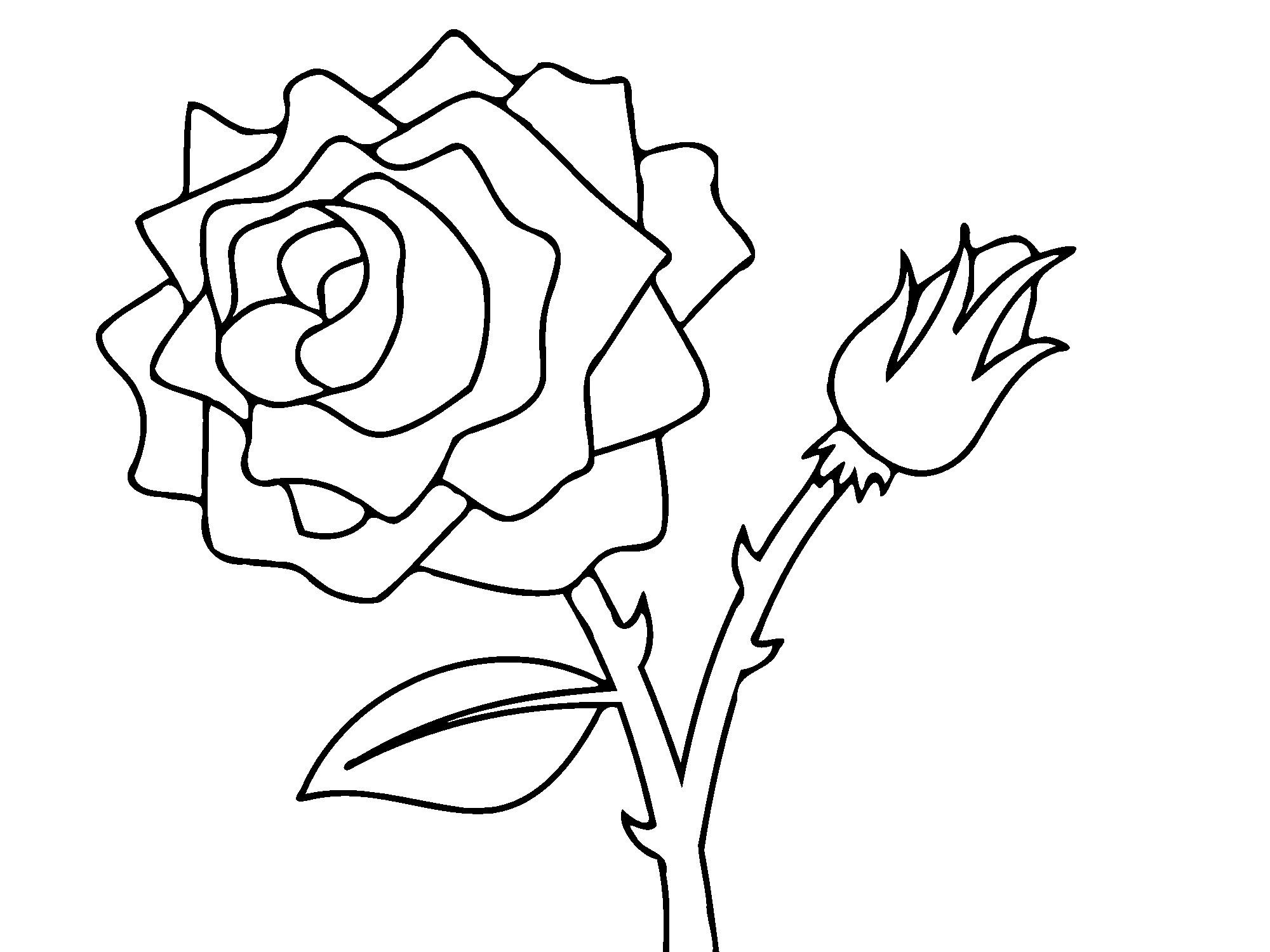 2000x1500 Amazing Rose Bud Flower Coloring Pages For Kids Inspirational Easy