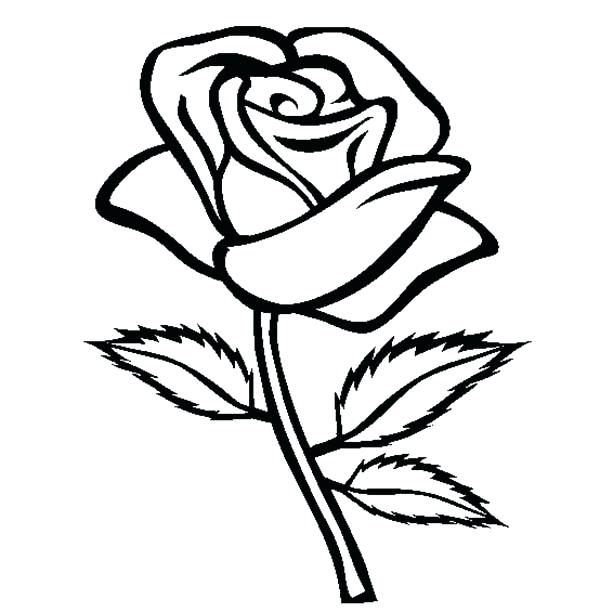 600x612 Coloring Page Rose Coloring Page Rose Rose Coloring Pages Great