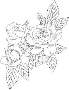 Rose Bush Coloring Pages