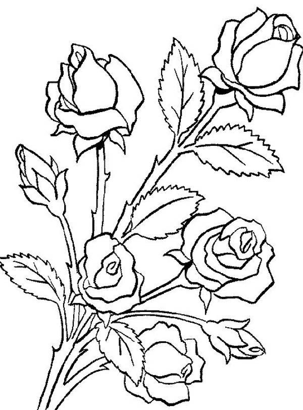 600x812 Flower Bouquet, Flower Bouquet Is Made Of Roses Coloring Page