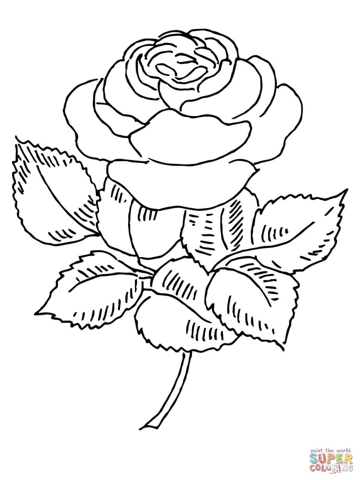 1200x1600 Rose Coloring Sheets Acpra