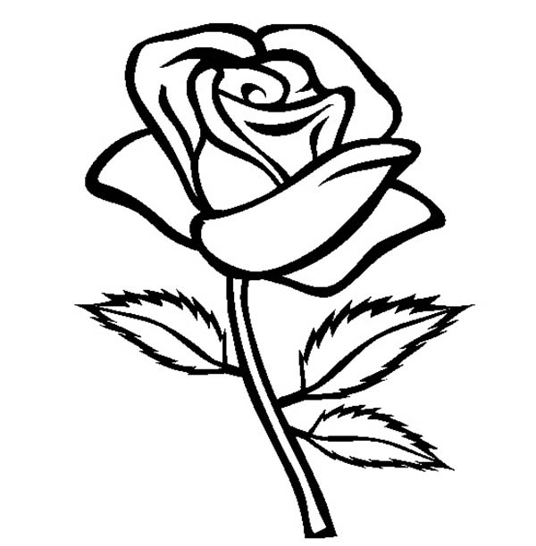 600x612 Rose With Three Leaves Coloring Page