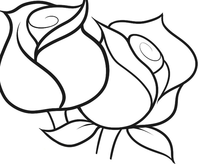 643x535 Big Rose Pictures To Color Page Roses Coloring Pages Prints