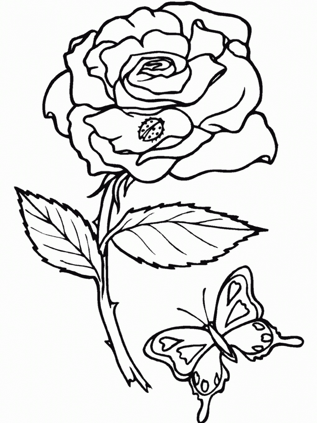 1020x1360 Majestic Design Ideas Rose Coloring Pages For Adults Easy Images
