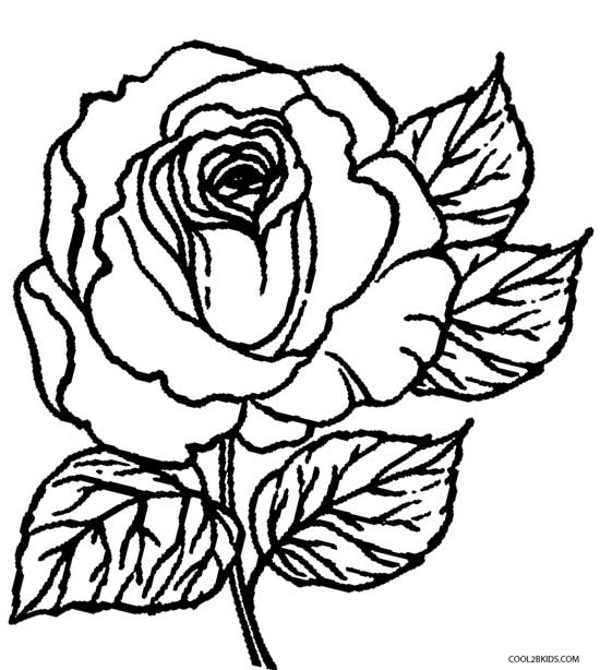 550x614 Printable Rose Coloring Pages For Kids Cool2bkids
