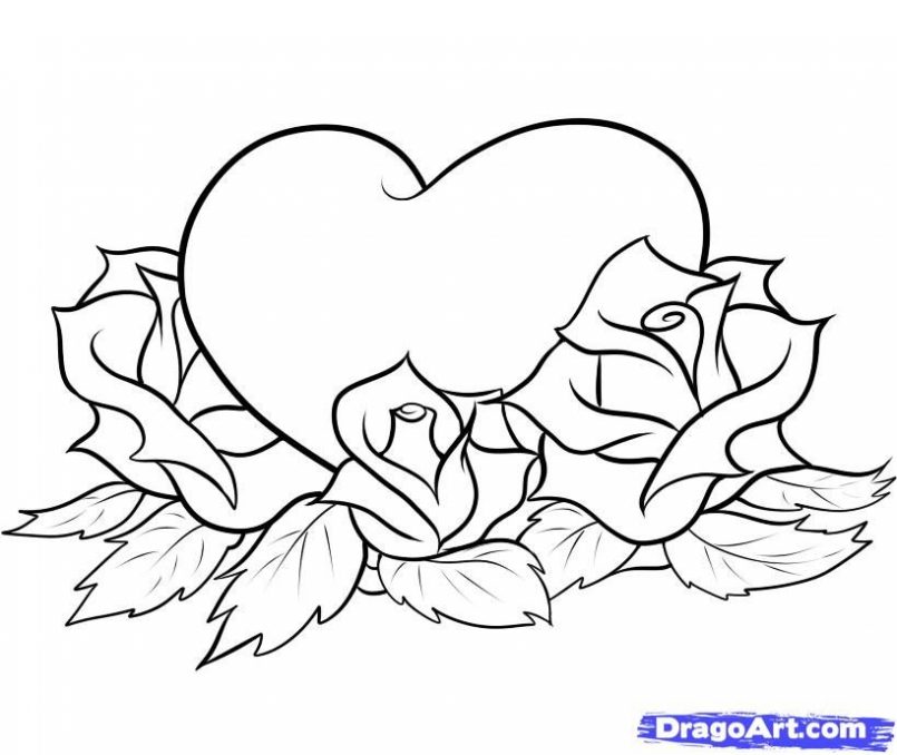805x678 Roses Coloring Pages Printable