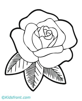 327x400 69 Best Roses Images On Coloring Books, Print Coloring