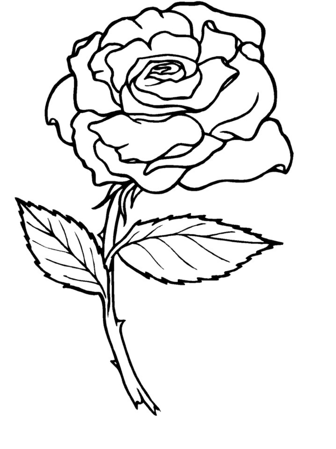 682x909 Rose Coloring Page Printable Coloring Page