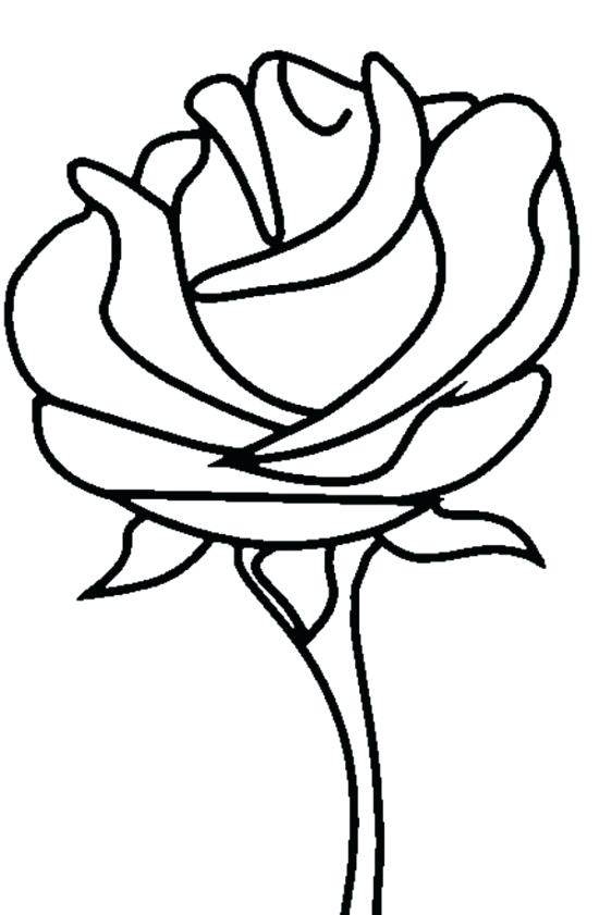 550x841 Free Printable Roses Coloring Pages For Kids Rose Color Pages Rose