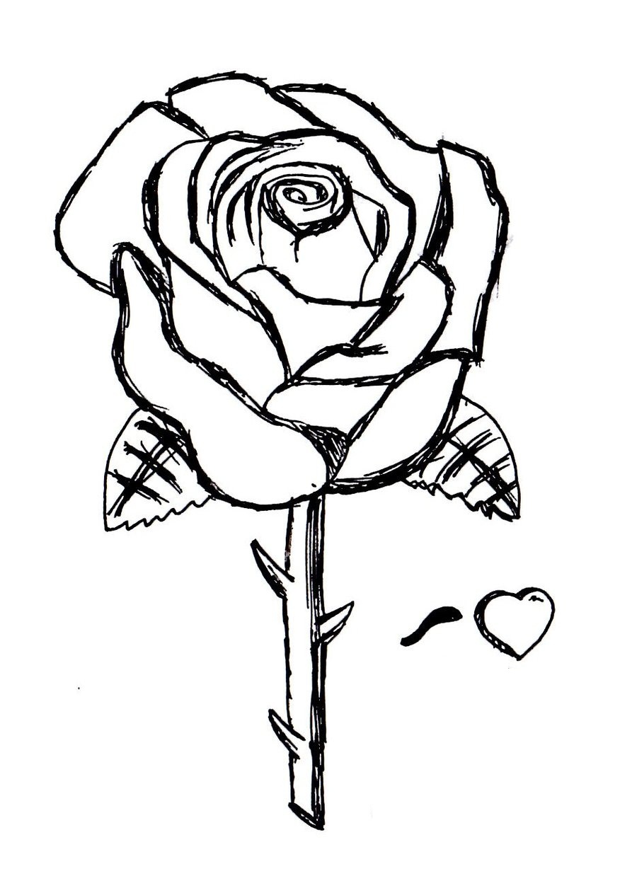 900x1238 Free Printable Roses Coloring Pages For Kids