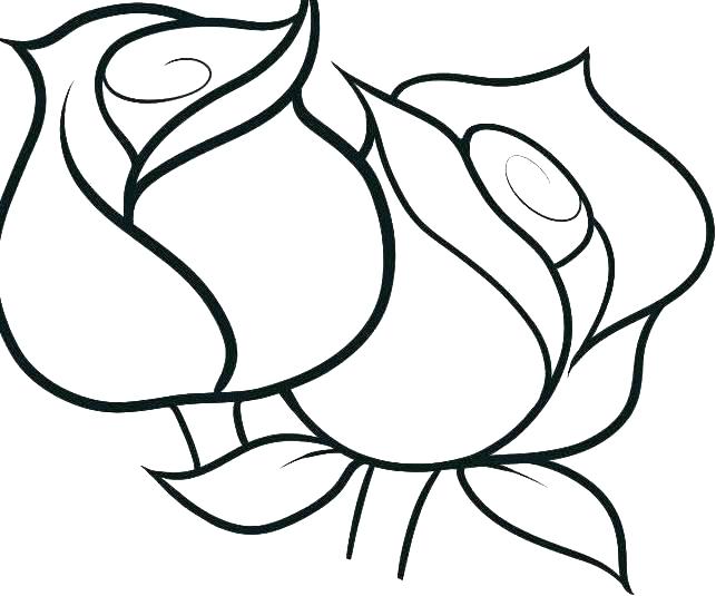 643x535 Rose Flower Coloring Pages Idea Pretty Flower Coloring Pages