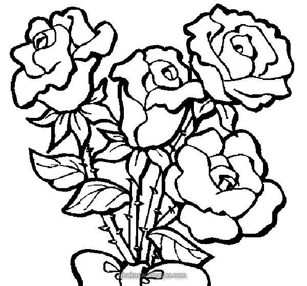 600x558 Rose Flower Coloring Pages