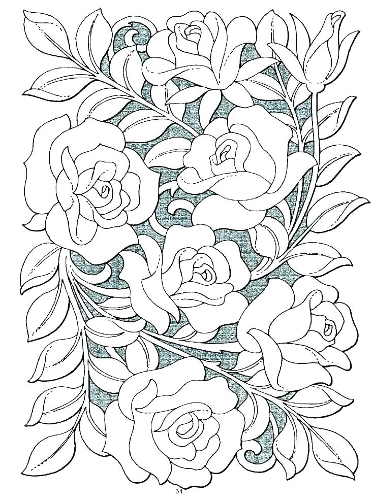 736x991 Rose Flower Coloring Pages Shippa.co