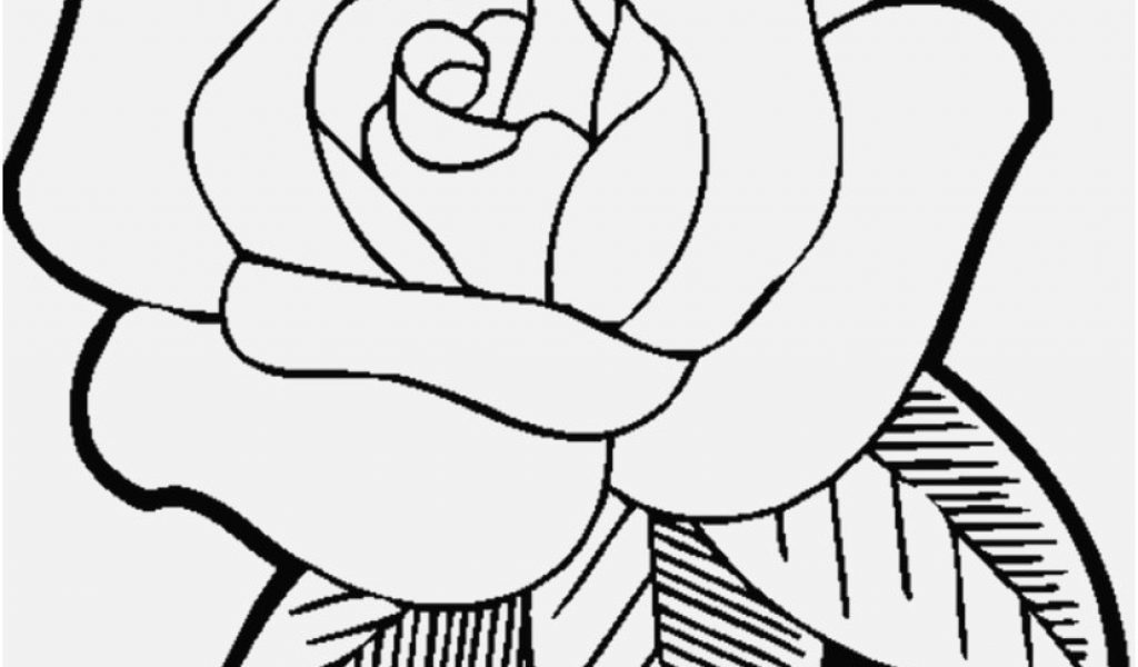 1024x600 Fall Flowers Coloring Pages Display Rose Flower Coloring Pages