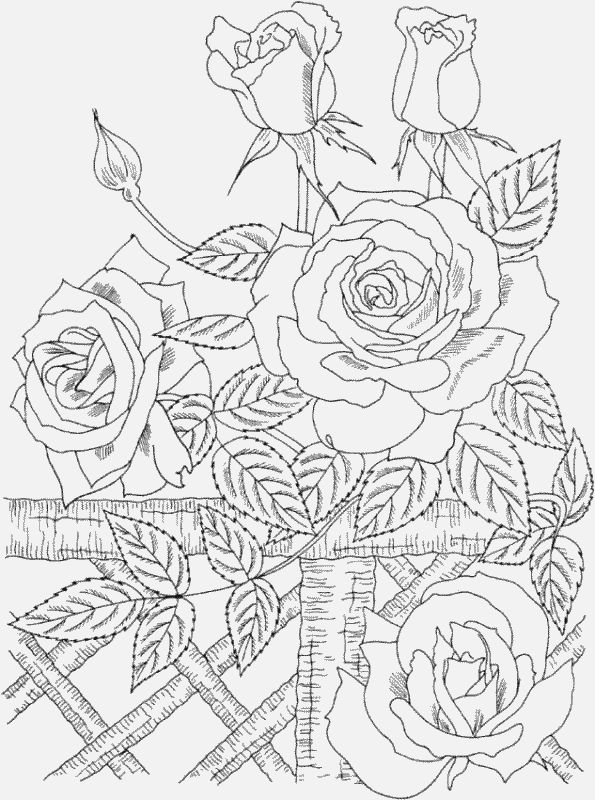 595x800 Coloring Pages Printable. Amazing Coloring Pages Online To Print