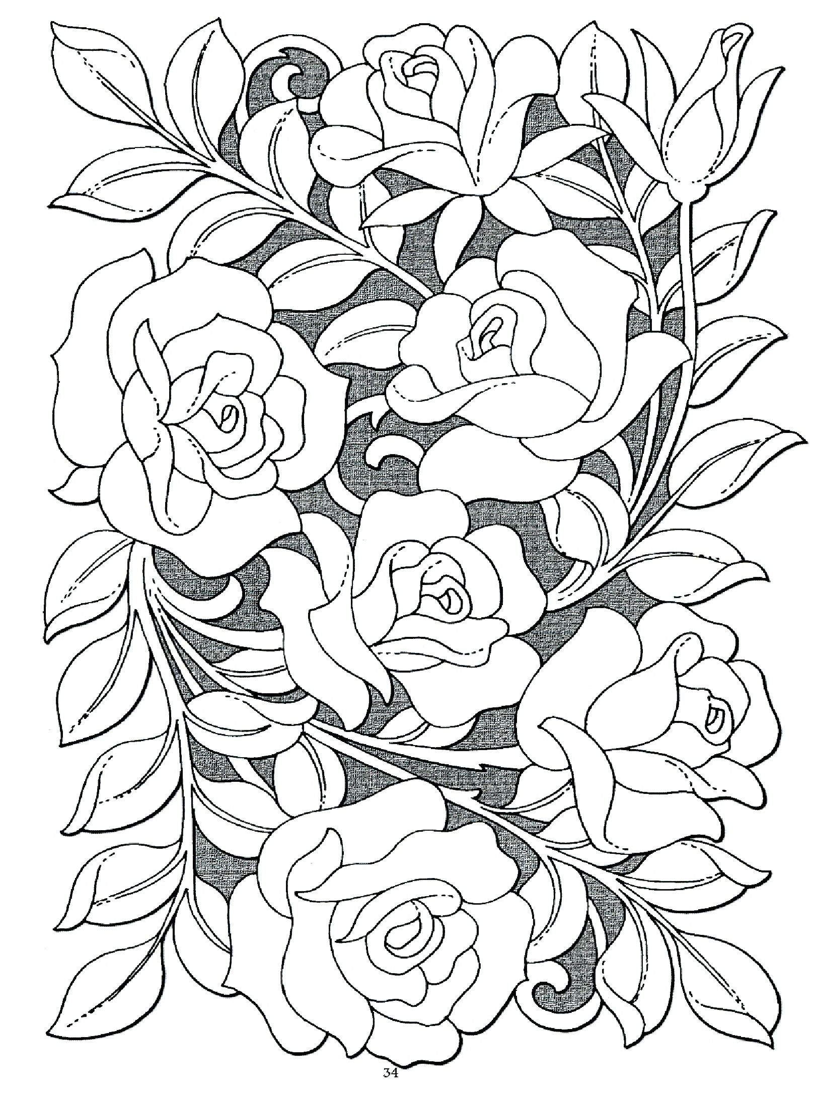 1619x2181 Generous Rose Garden Book Contemporary Garden And Landscape