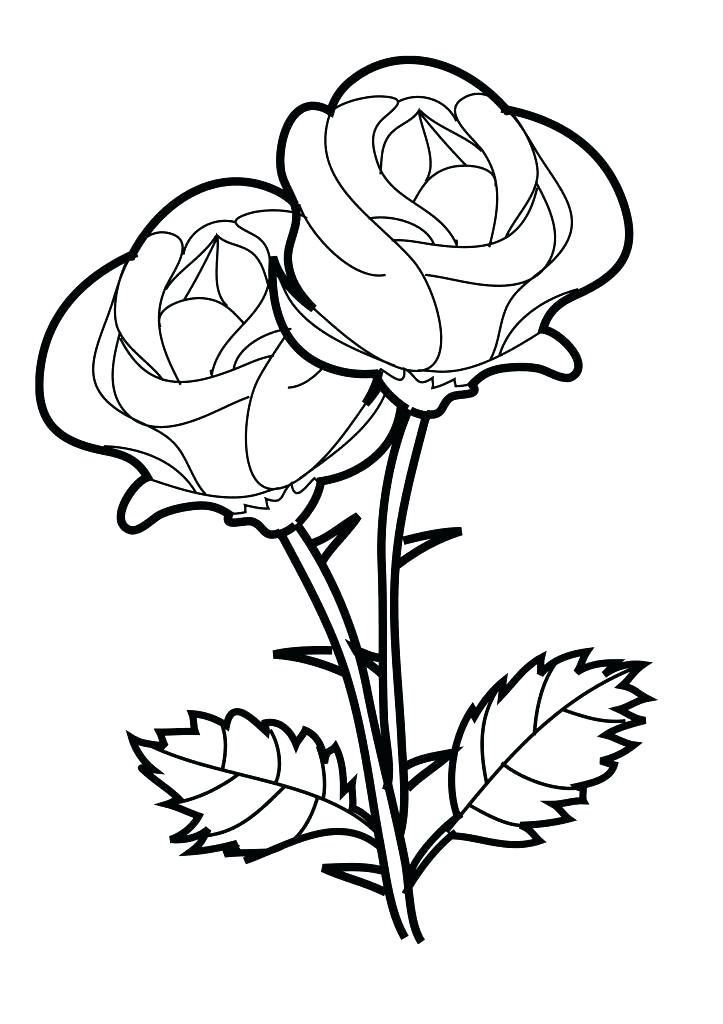 723x1024 Heart And Roses Coloring Pages Hearts Love Page Rose Garden Free