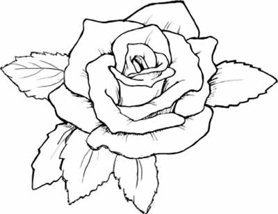 400x307 Roses Coloring Pages