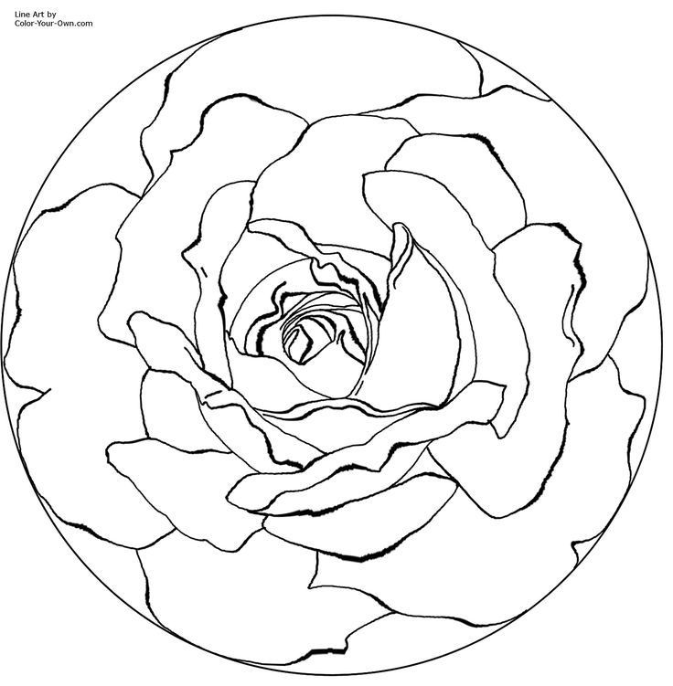 736x751 266 Best Flower Pic Images On Colouring Pages, Adult