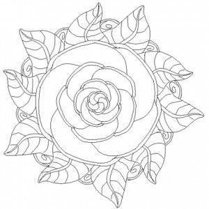 300x300 Rose Patterns For Coloring Rose Mandala Coloring Pages Craft