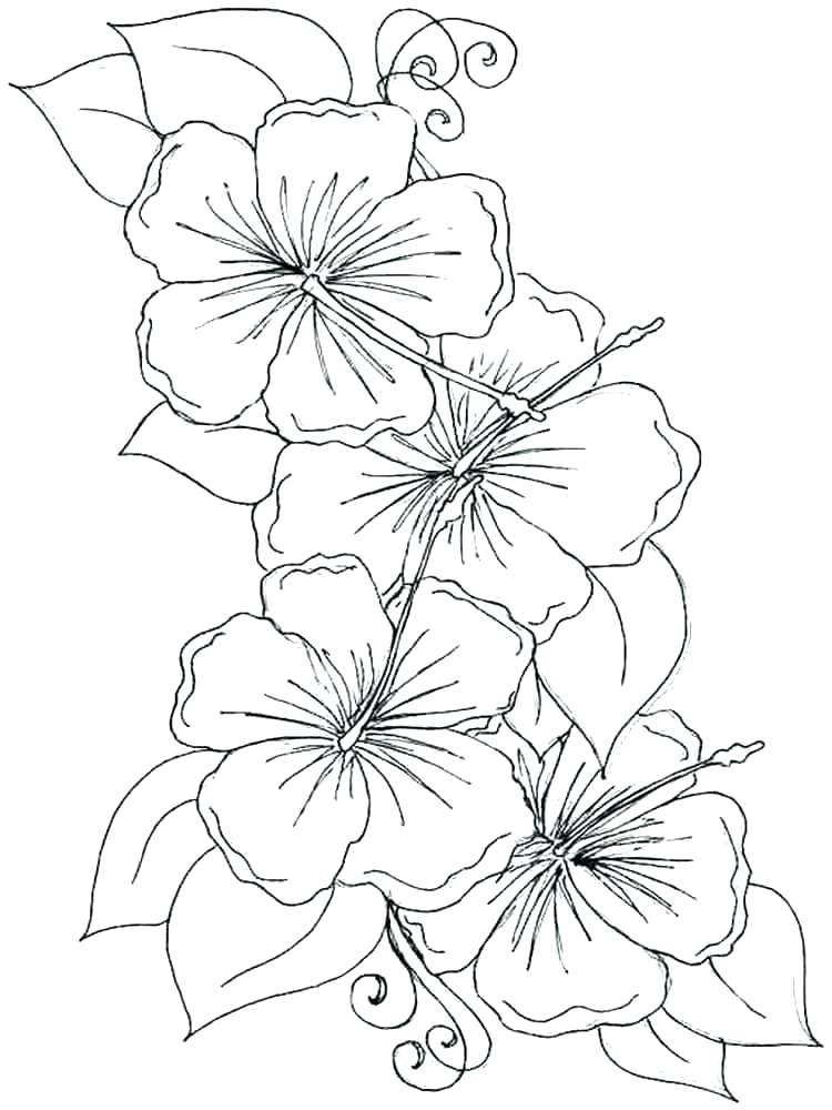 750x1000 Shape Templates Archives Page 2 Of 6 Printable Flower Petal