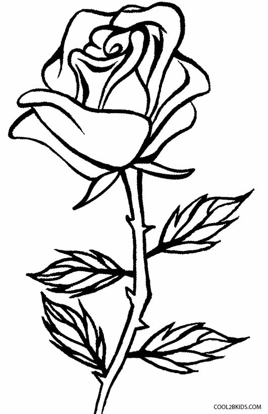 Roses Coloring Pages To Print