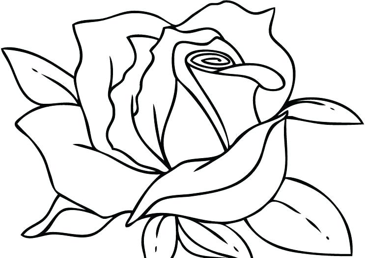 743x527 Pictures Of Roses To Color Printable Coloring Image Rose Heart