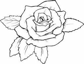 288x221 Pin By Lily Dr On Projects To Try Free, Rose