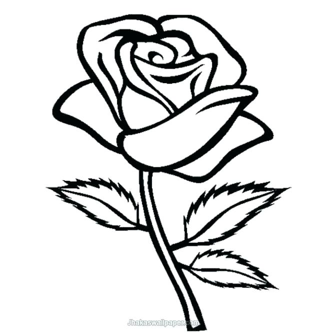 658x671 Roses Coloring Pages Printable 11
