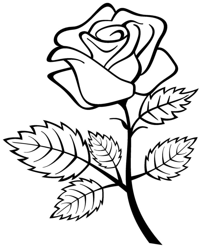 823x990 Free Printable Roses Coloring Pages For Kids For The Home Free