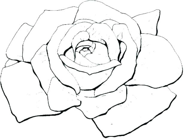 618x464 Coloring Page Of A Rose Flower Coloring Pages Rose Flower Rosetta