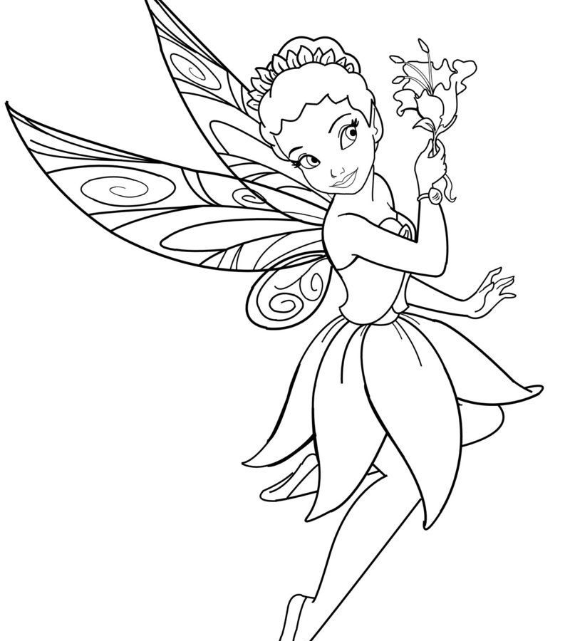 800x900 Fine Fairy Pictures Tolorloring Page For Adults Barbie Taillour