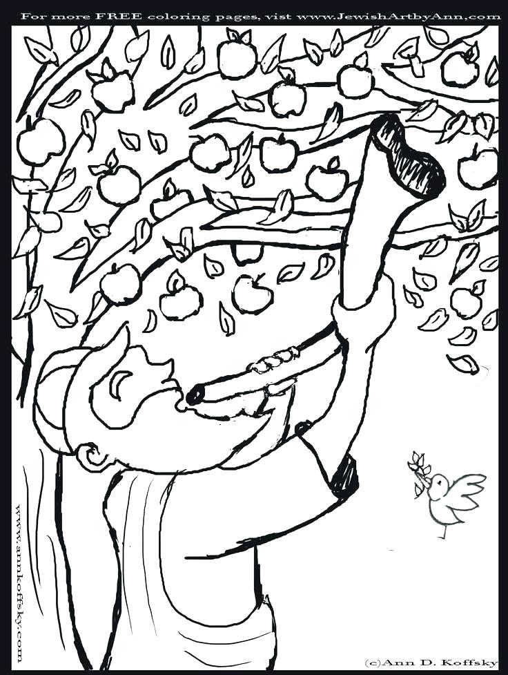 736x977 Rosh Hashanah Coloring Sheets Printable Coloring Pin By