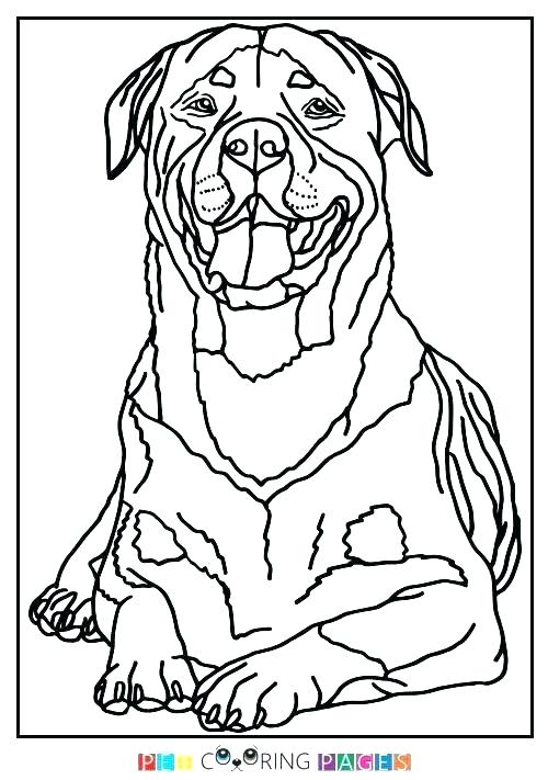 500x711 Rottweiler Coloring Pages 3