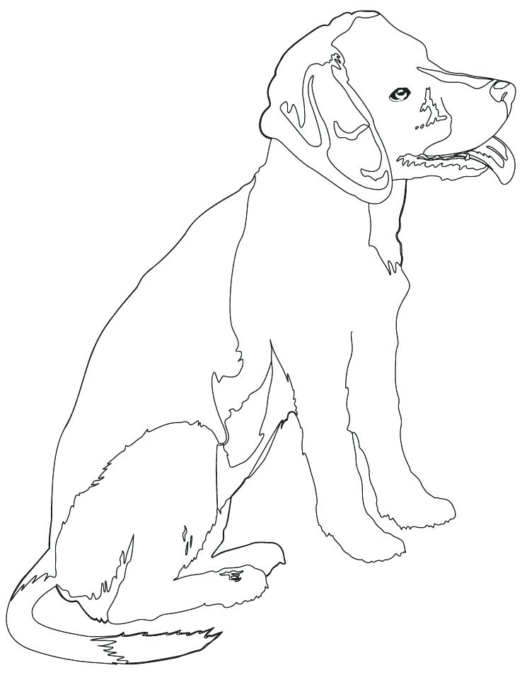 738x954 Rottweiler Coloring Pages Rottweiler Coloring Pages Rottweiler