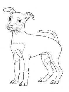 236x315 Rottweiler Puppy Coloring Page Dog Art Rottweiler