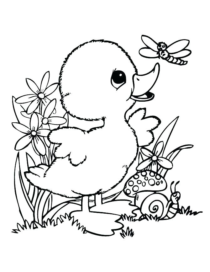 670x867 Rubber Duck Coloring Page Rubber Duck Coloring Page Printable