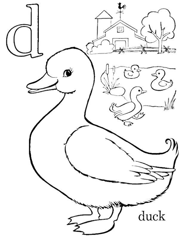 640x801 Rubber Duck Coloring Pages