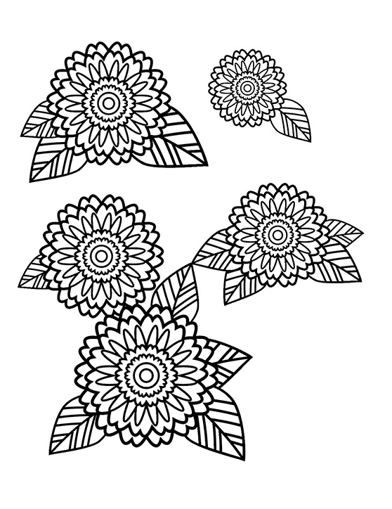 558x724 How To Create A Stress Relief Coloring Book Page In Adobe Illustrator