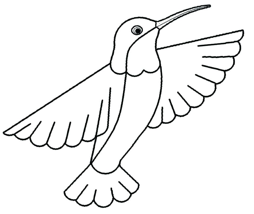 Ruby Throated Hummingbird Coloring Pages