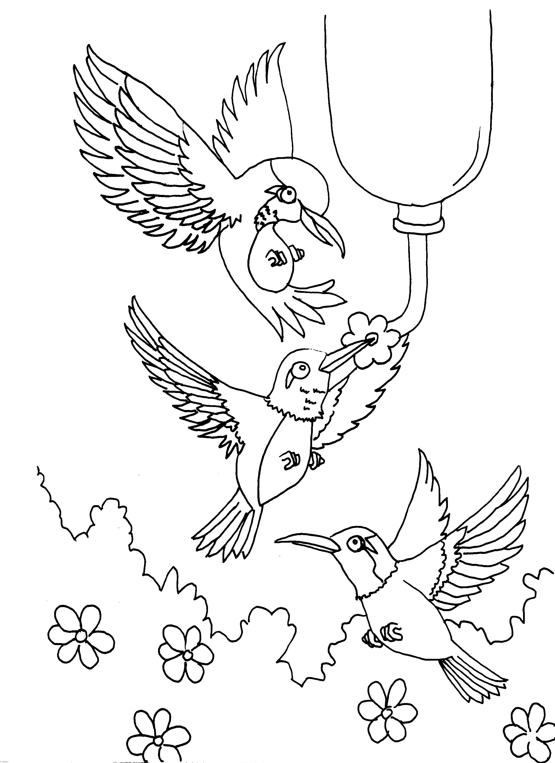 2223x3054 Free Printable Hummingbird Coloring Pages For Kids