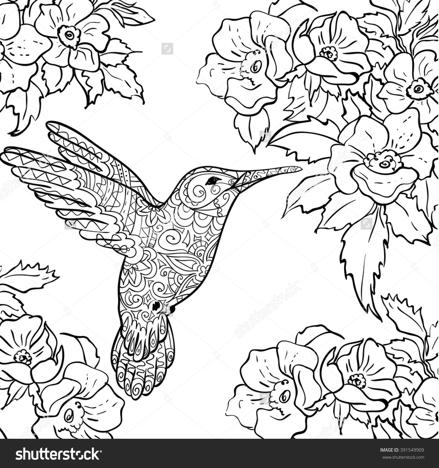 1500x1600 Hummingbird Coloring Page 12